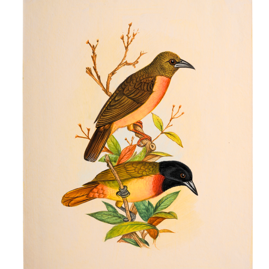 Handmade Bird Painting – Exotic Indian Lovebirds on Branch – Nature Wall Art (10x8”)